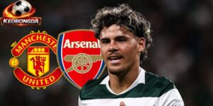 Araujo