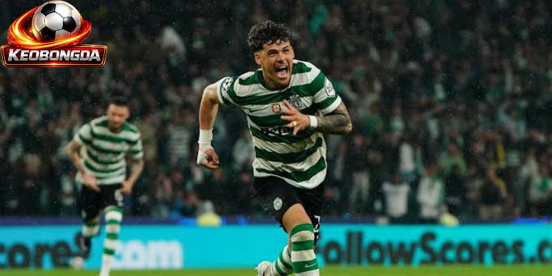 Araujo